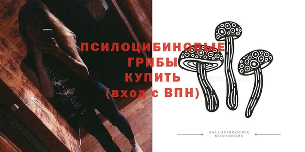 apvp Бугульма