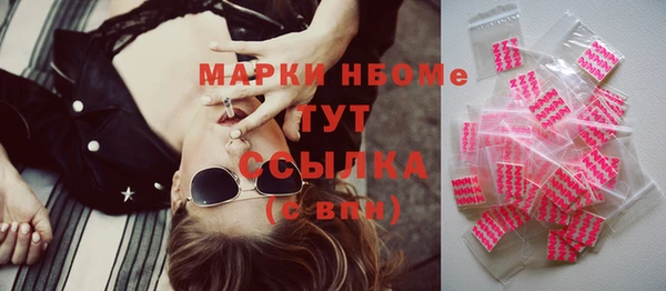 spice Бородино