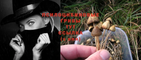 apvp Бугульма