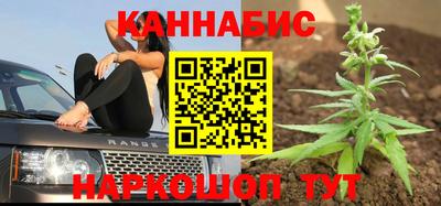 мяу мяу мука Владикавказ