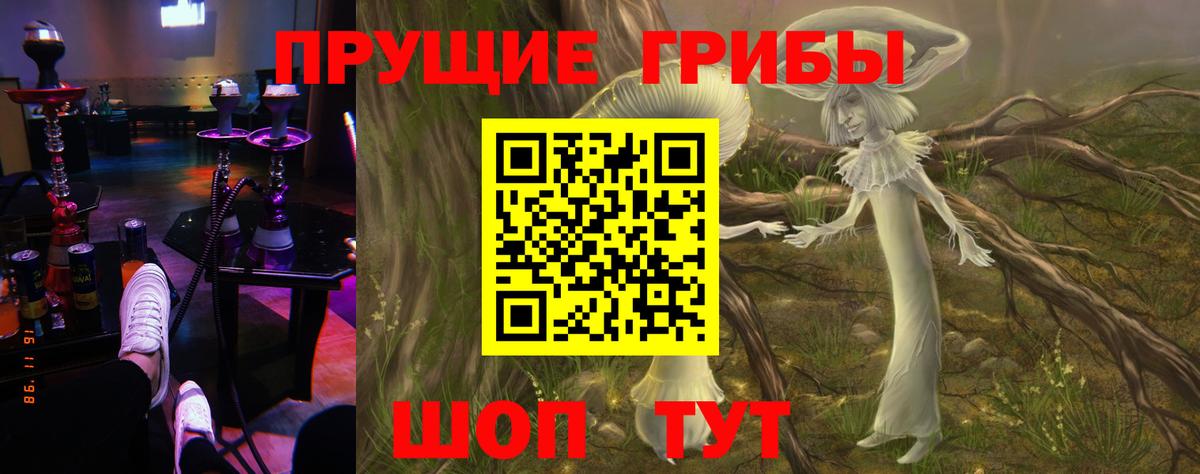 Галлюциногенные грибы Magic Shrooms Видное