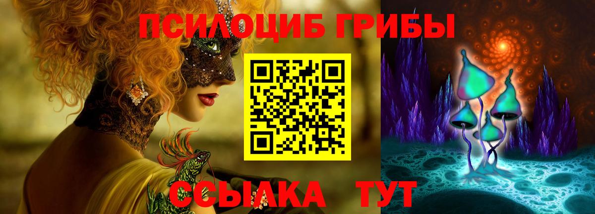 Псилоцибиновые грибы Magic Shrooms  продажа наркотиков  Вход с VPN  Видное  Галлюциногенные грибы прущие грибы 